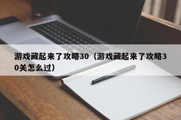 游戏藏起来了攻略30（游戏藏起来了攻略30关怎么过）