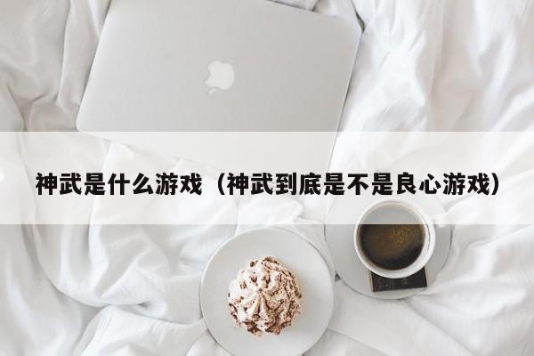 神武是什么游戏（神武到底是不是良心游戏）