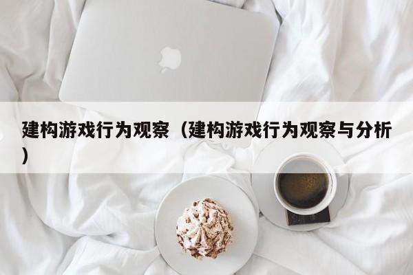 建构游戏行为观察(建构游戏行为观察与分析)