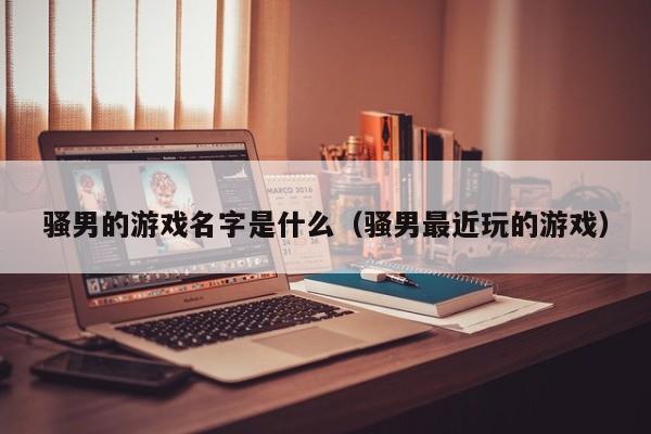 骚男的游戏名字是什么(骚男最近玩的游戏)