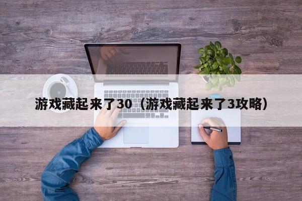 游戏藏起来了30(游戏藏起来了3攻略)
