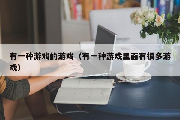 有一种游戏的游戏(有一种游戏里面有很多游戏)