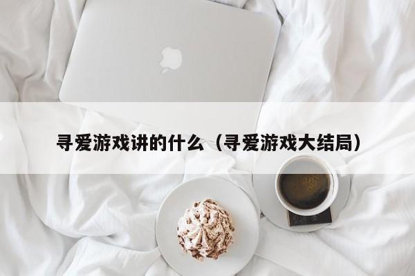 寻爱游戏讲的什么(寻爱游戏大结局)