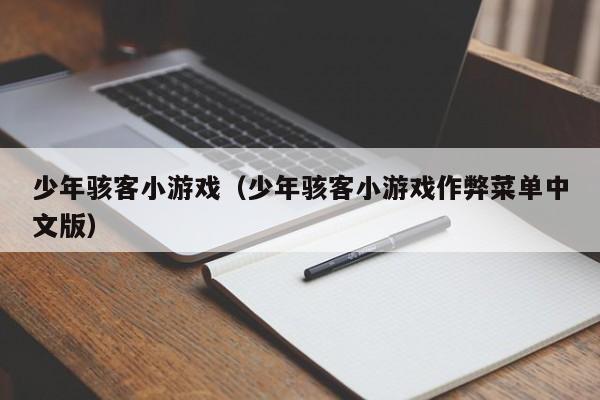 少年骇客小游戏（少年骇客小游戏作弊菜单中文版）