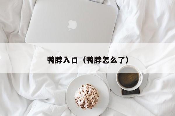 鸭脖入口(鸭脖怎么了)
