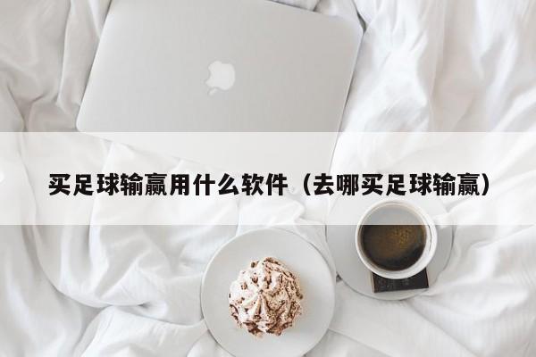 买足球输赢用什么软件(去哪买足球输赢)