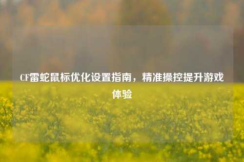 CF雷蛇鼠标优化设置指南，精准操控提升游戏体验