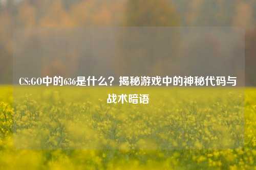 CS:GO中的636是什么?揭秘游戏中的神秘代码与战术暗语