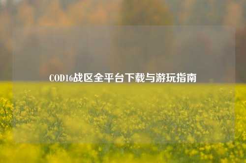 COD16战区全平台下载与游玩指南