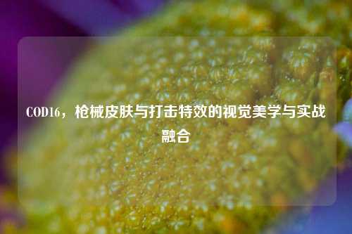 COD16,枪械皮肤与打击特效的视觉美学与实战融合