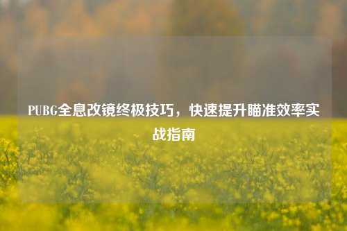 PUBG全息改镜终极技巧,快速提升瞄准效率实战指南