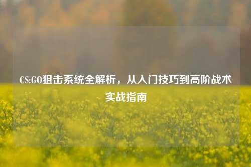 CS:GO狙击系统全解析，从入门技巧到高阶战术实战指南