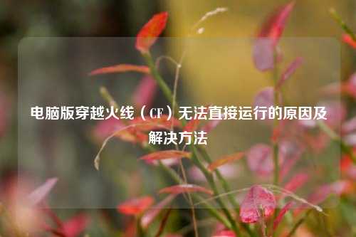 电脑版穿越火线(CF)无法直接运行的原因及解决方法