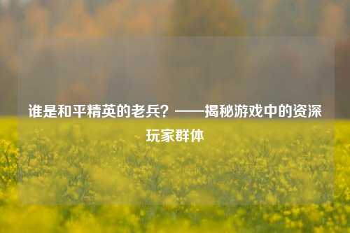 谁是和平精英的老兵？——揭秘游戏中的资深玩家群体