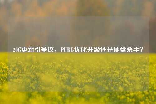 20G更新引争议，PUBG优化升级还是硬盘杀手？