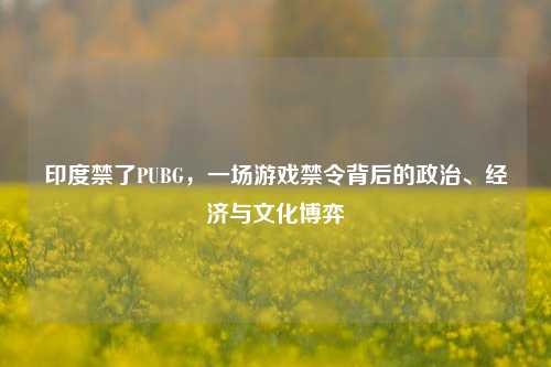 印度禁了PUBG，一场游戏禁令背后的政治、经济与文化博弈