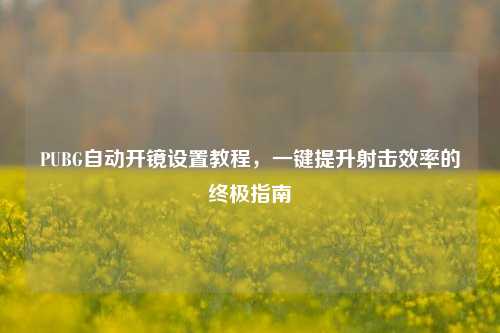 PUBG自动开镜设置教程，一键提升射击效率的终极指南