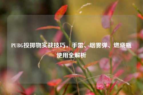 PUBG投掷物实战技巧，手雷、烟雾弹、燃烧瓶使用全解析