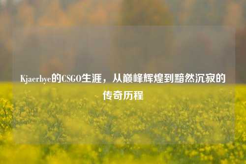 Kjaerbye的CSGO生涯，从巅峰辉煌到黯然沉寂的传奇历程