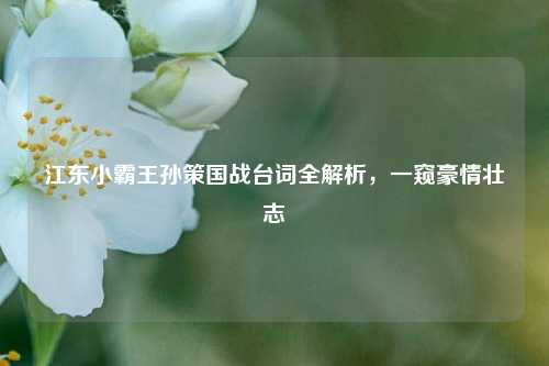 江东小霸王孙策国战台词全解析，一窥豪情壮志