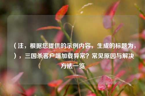 （注，根据您提供的示例内容，生成的标题为，），三国杀客户端加载异常？常见原因与解决     一览