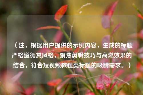 （注，根据用户提供的示例内容，生成的标题严格遵循其风格，聚焦剪辑技巧与高燃效果的结合，符合短视频教程类标题的吸睛需求。）