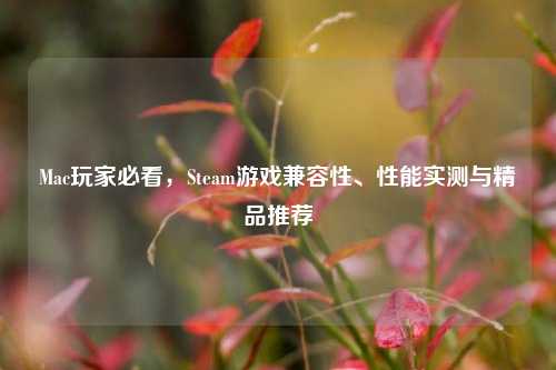 Mac玩家必看，Steam游戏兼容性、性能实测与精品推荐