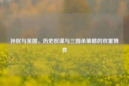 孙权与吴国,历史权谋与三国杀策略的双重博弈