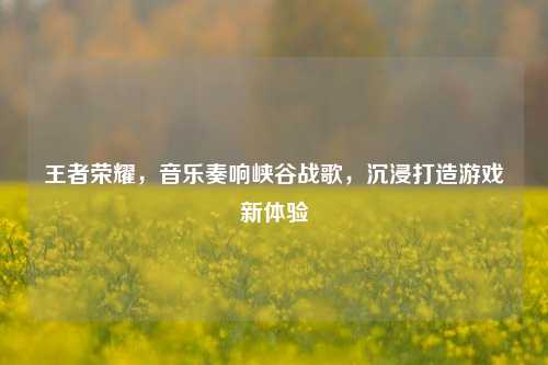 王者荣耀，音乐奏响峡谷战歌，沉浸打造游戏新体验