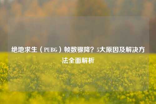 绝地求生（PUBG）帧数骤降？5大原因及解决     全面解析