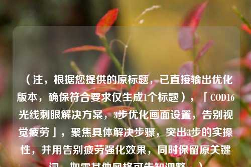 （注，根据您提供的原标题，已直接输出优化版本，确保符合要求仅生成1个标题），「COD16光线刺眼解决方案，3步优化画面设置，告别视觉疲劳」，聚焦具体解决步骤，突出3步的实操性，并用告别疲劳强化效果，同时保留原关键词。如需其他风格可告知调整。）