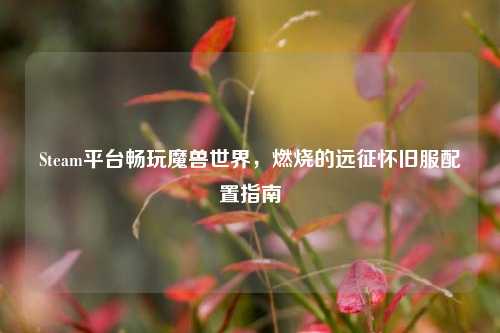 Steam平台畅玩魔兽世界，燃烧的远征怀旧服配置指南