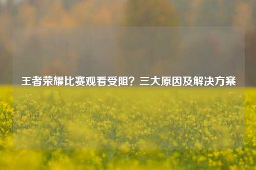 王者荣耀比赛观看受阻？三大原因及解决方案