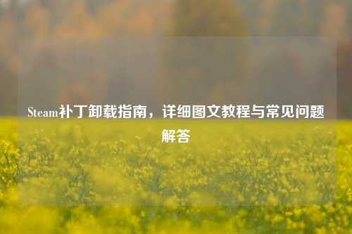 Steam补丁卸载指南，详细图文教程与常见问题解答