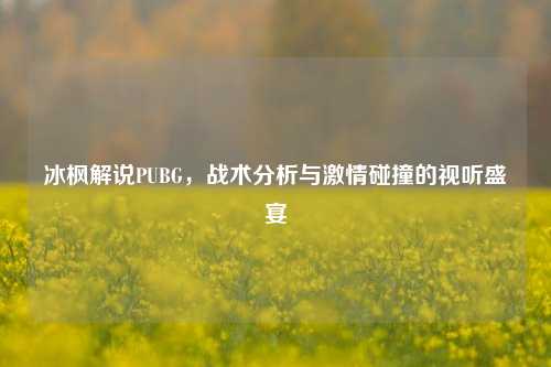 冰枫解说PUBG，战术分析与***碰撞的视听盛宴