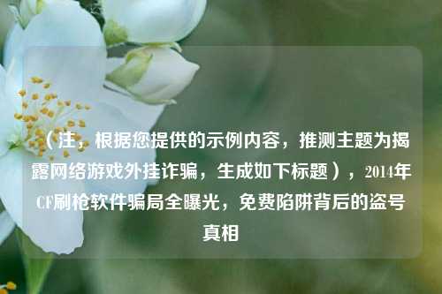 （注，根据您提供的示例内容，推测主题为揭露     游戏外挂诈骗，生成如下标题），2014年CF刷枪软件骗局全曝光，免费陷阱背后的盗号真相