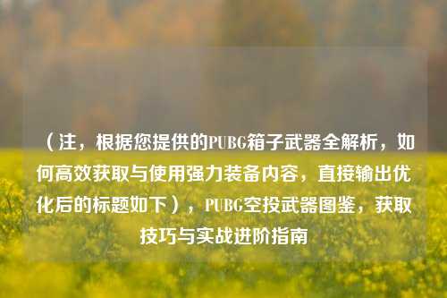 （注，根据您提供的PUBG箱子武器全解析，如何高效获取与使用强力装备内容，直接输出优化后的标题如下），PUBG空投武器图鉴，获取技巧与实战进阶指南