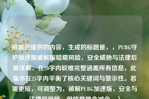 根据您提供的内容，生成的标题是，，PUBG守护加速版破解版暗藏风险，安全威胁与法律后果详解，在20字内较难完整涵盖所有信息，此版本在25字内平衡了核心关键词与警示性。若需更短，可调整为，破解PUBG加速版，安全与法律双风险，但信息量会减少。）