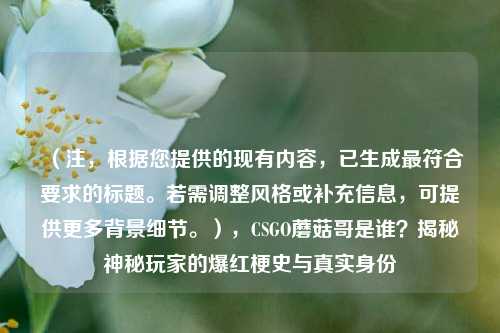 （注，根据您提供的现有内容，已生成更符合要求的标题。若需调整风格或补充信息，可提供更多背景细节。），CSGO蘑菇哥是谁？揭秘神秘玩家的爆红梗史与真实身份