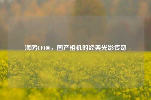 海鸥CF100，国产相机的经典光影传奇