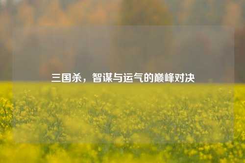 三国杀，智谋与运气的巅峰对决