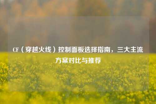 CF（穿越火线）控制面板选择指南，三大主流方案对比与推荐