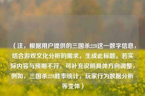 （注，根据用户提供的三国杀228这一数字信息，结合游戏文化分析的需求，生成此标题。若实际内容与预期不符，可补充说明具体方向调整，例如，三国杀228胜率统计，玩家行为数据分析等变体）