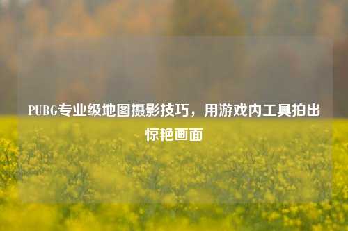 PUBG专业级地图摄影技巧，用游戏内工具拍出惊艳画面