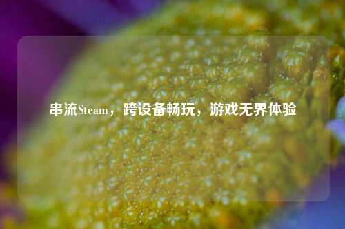 串流Steam，跨设备畅玩，游戏***体验