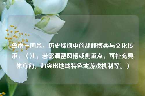 鲁南三国杀，历史烽烟中的战略博弈与文化传承，（注，若需调整风格或侧重点，可补充具体方向，如突出地域特色或游戏机制等。）