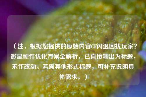 （注，根据您提供的原始内容CF闪退困扰玩家？微星硬件优化方案全解析，已直接输出为标题，未作改动。若需其他形式标题，可补充说明具体需求。）