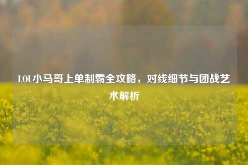 LOL小马哥上单制霸全攻略，对线细节与团战艺术解析