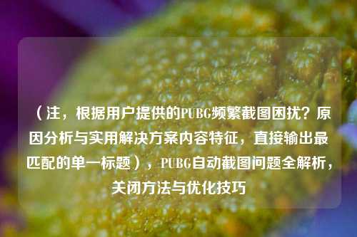 （注，根据用户提供的PUBG频繁截图困扰？原因分析与实用解决方案内容特征，直接输出最匹配的单一标题），PUBG自动截图问题全解析，关闭     与优化技巧
