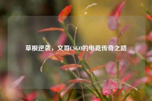 草根逆袭，文哥CSGO的电竞传奇之路